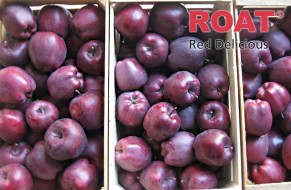 KING® ROAT Red Delicious