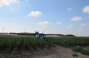 The work in the nursery