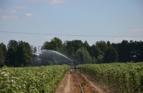 The work in the nursery