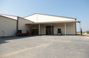 Storage of trees in the cold store