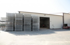 Storage of trees in the cold store